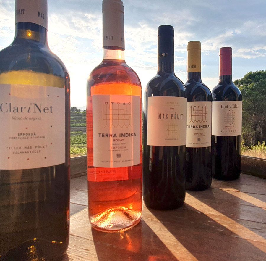 Regala vins de Celler Mas Pòlit