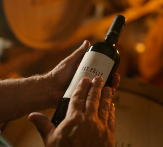 Vi ecològic Mas Pòlit en bóta de criança al celler DO Empordà