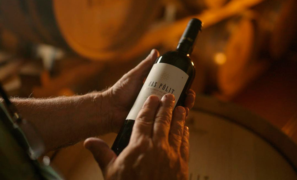 Vi ecològic Mas Pòlit en bóta de criança al celler DO Empordà